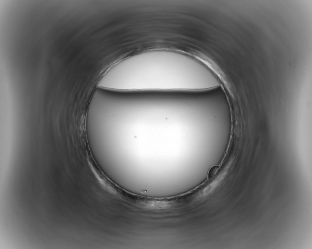 X0000086240849200703291003