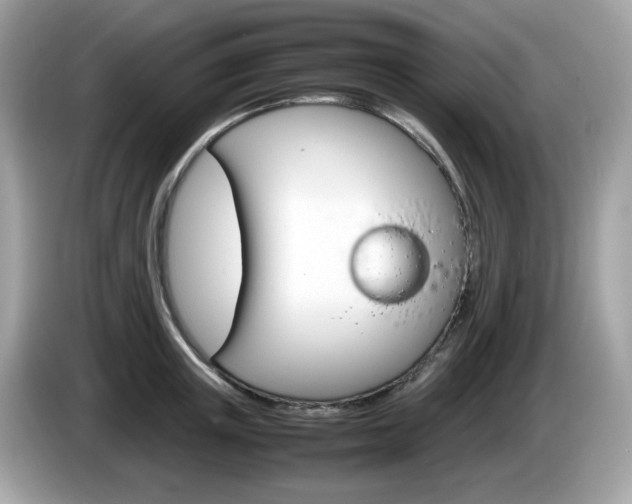 X0000086240851200703291003