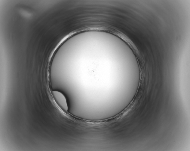 X0000086240852200703291003
