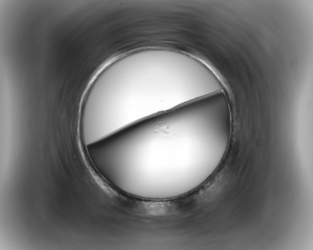 X0000086240853200703291003