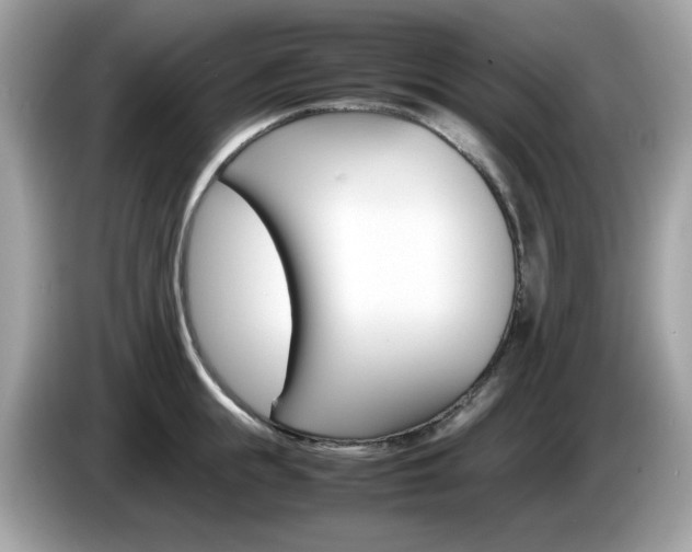 X0000086240855200703291003