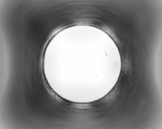 X0000086240856200703291003