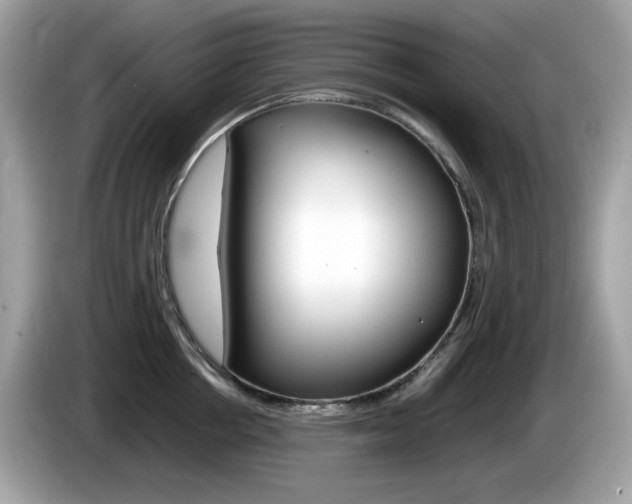 X0000086240858200703291004
