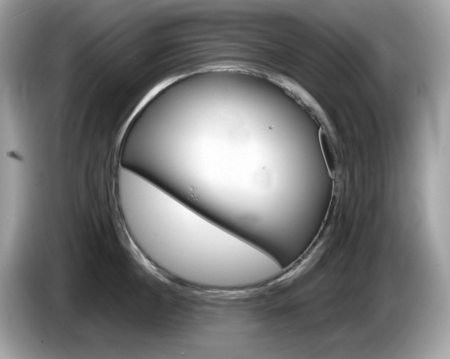 X0000086240860200703291004