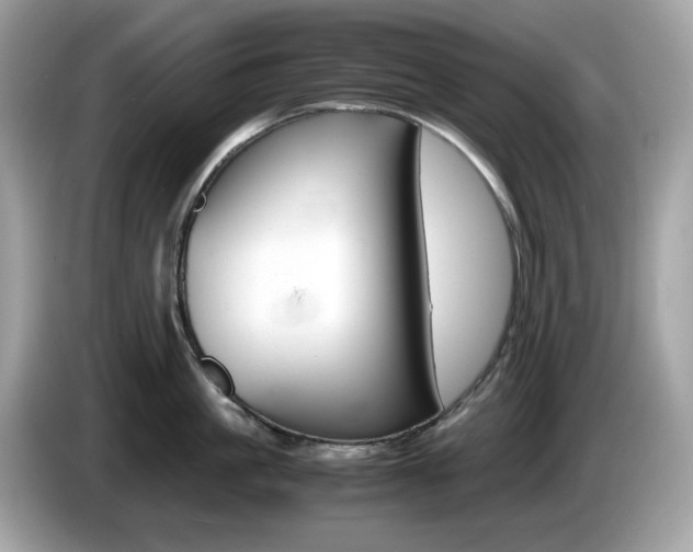 X0000086240861200703291004