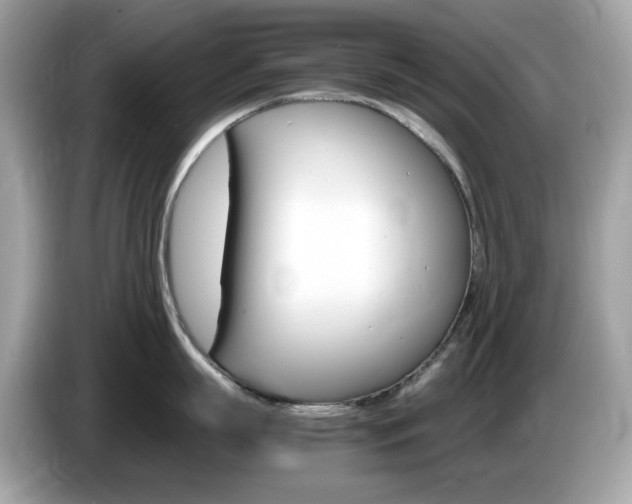 X0000086240863200703291004
