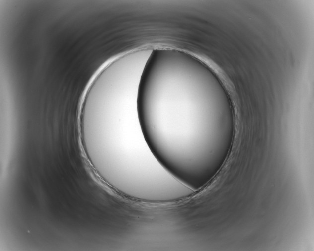 X0000086240864200703291004
