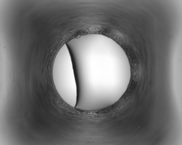 X0000086240866200703291003