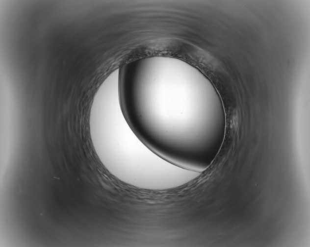 X0000086240868200703291003