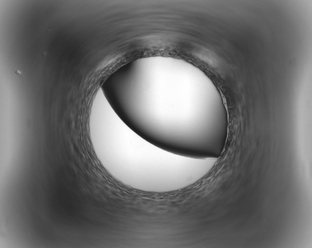 X0000086240869200703291003