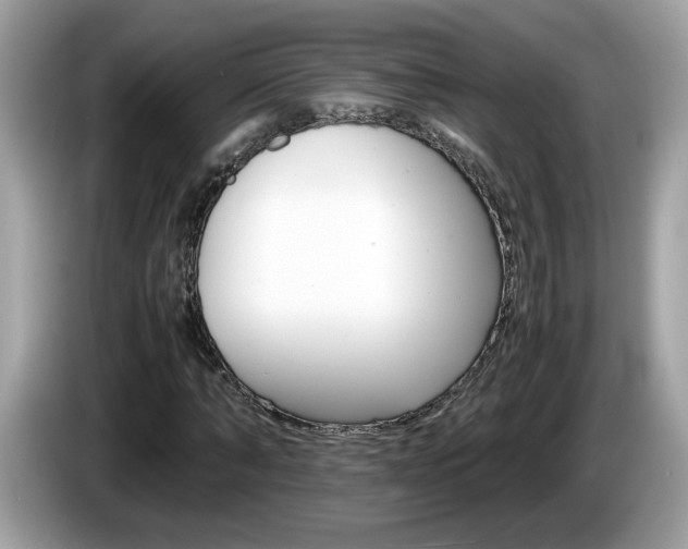 X0000086240870200703291003