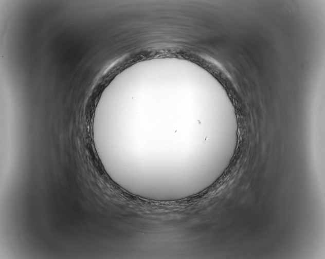 X0000086240871200703291003