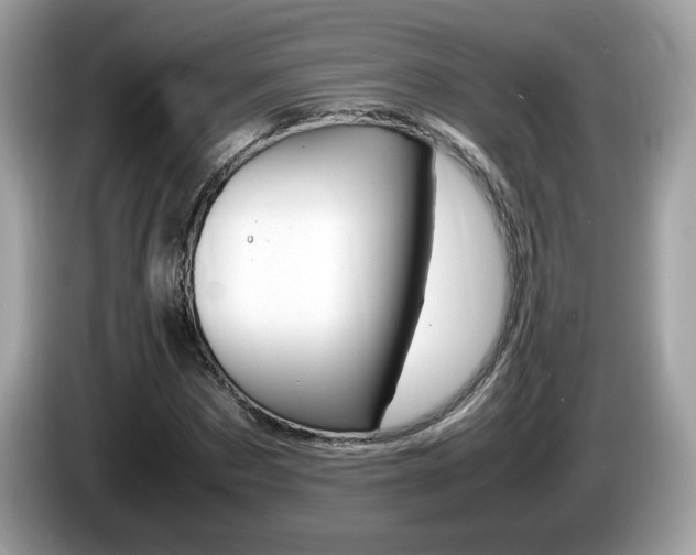 X0000086240873200703291003