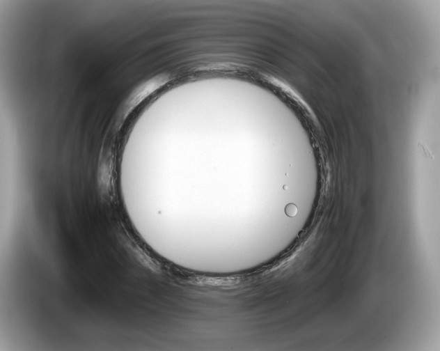 X0000086240874200703291003