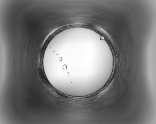 X0000086240875200703291003