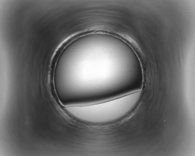 X0000086240880200703291003