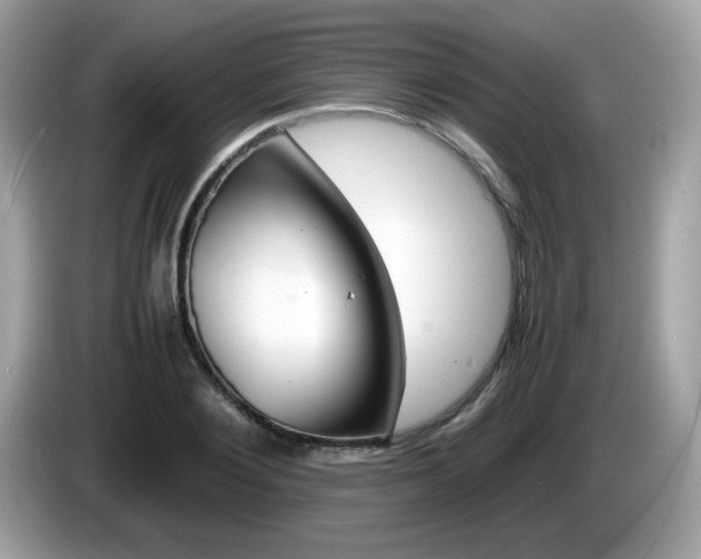 X0000086240884200703291003
