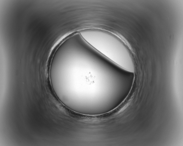 X0000086240885200703291003