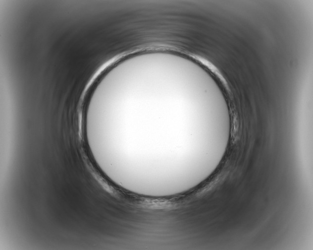 X0000086240886200703291003