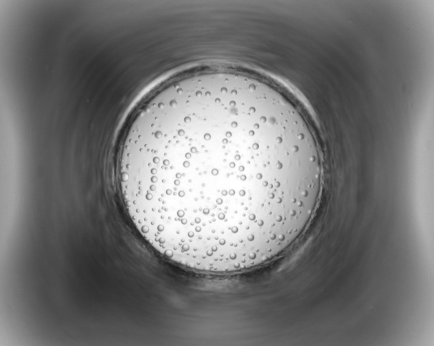 X0000086240887200703291003