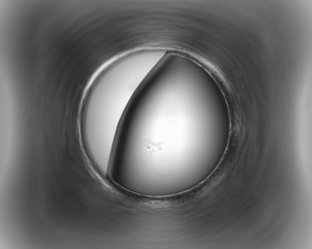 X0000086240888200703291003