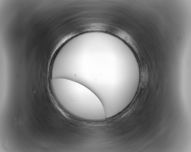 X0000086240890200703291003