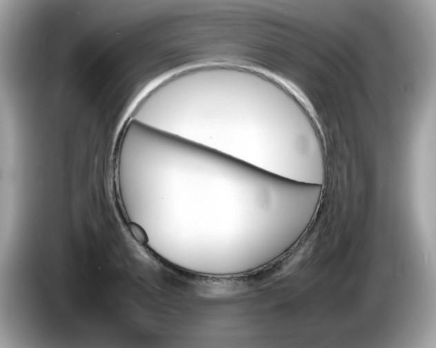 X0000086240895200703291003