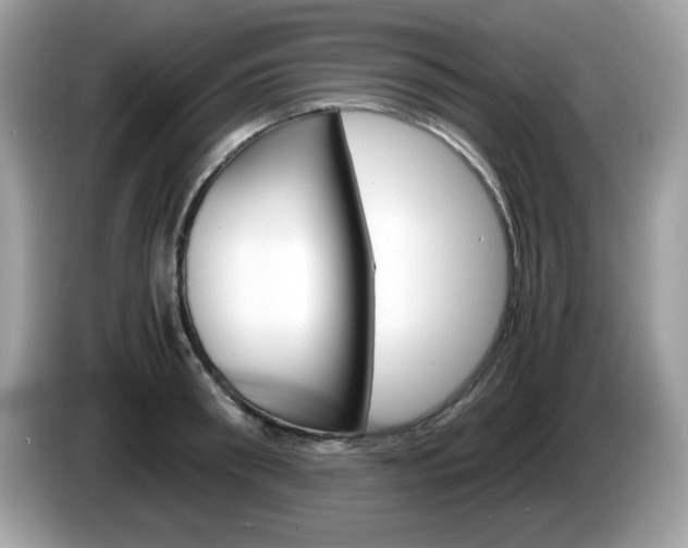 X0000086240898200703291003