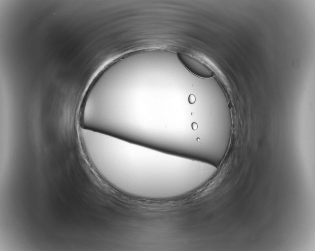 X0000086240899200703291002