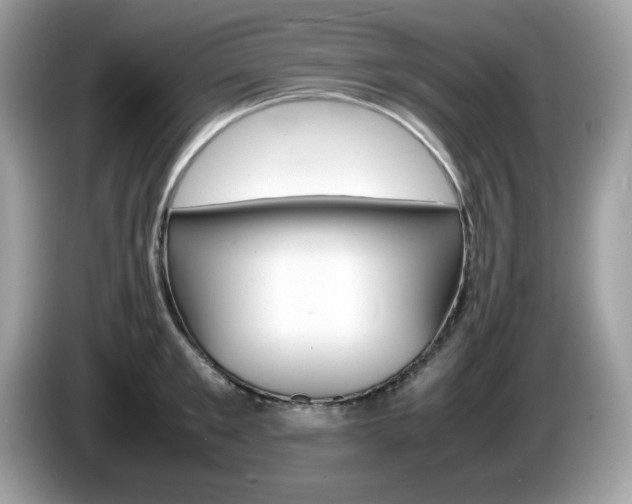X0000086240901200703291002