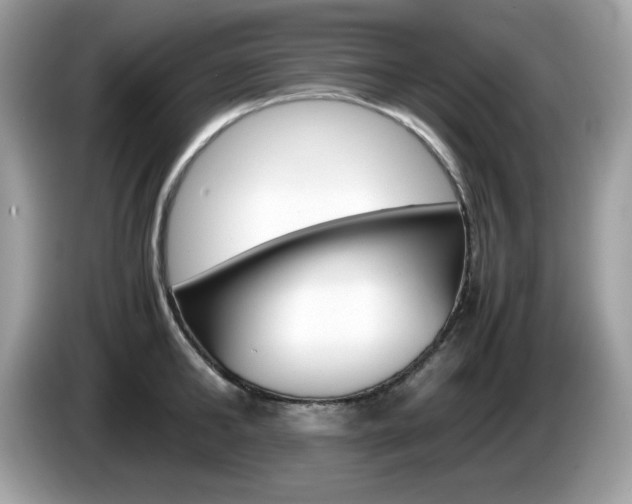 X0000086240902200703291002