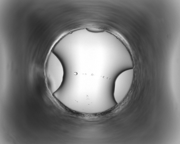 X0000086240907200703291002