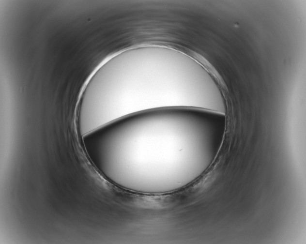 X0000086240908200703291002