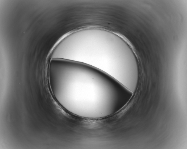 X0000086240910200703291002
