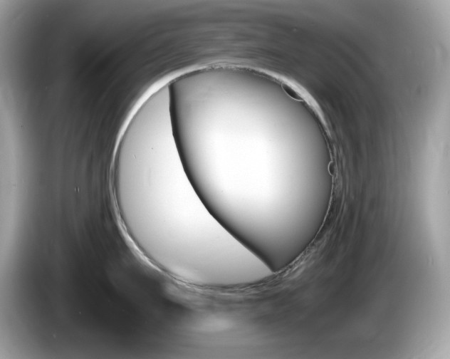 X0000086240911200703291002