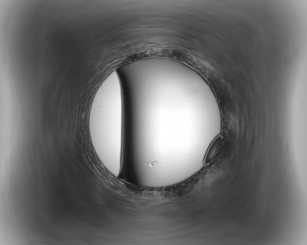 X0000086240914200703291002