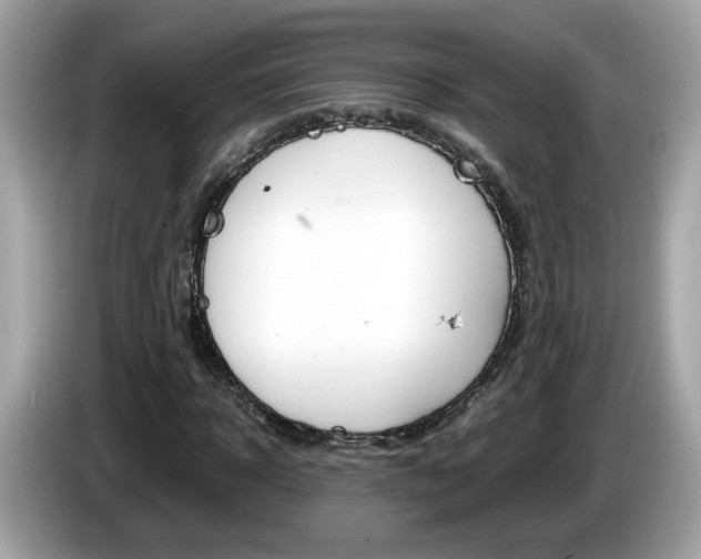 X0000086240918200703291002