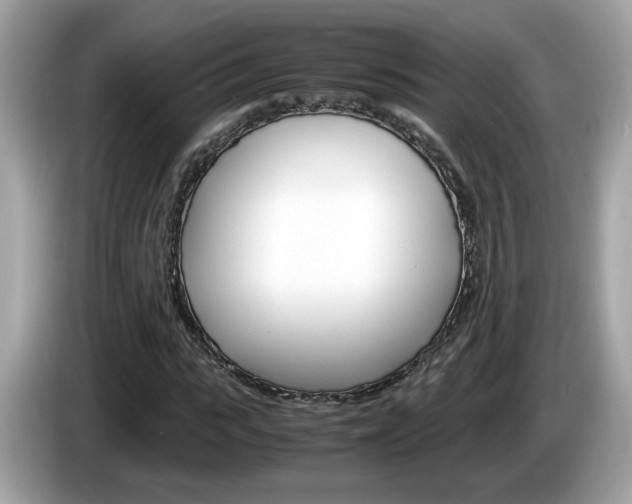 X0000086240919200703291002