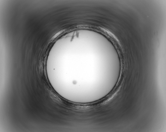X0000086240921200703291002