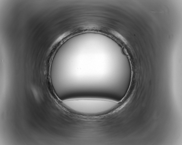X0000086240922200703291002