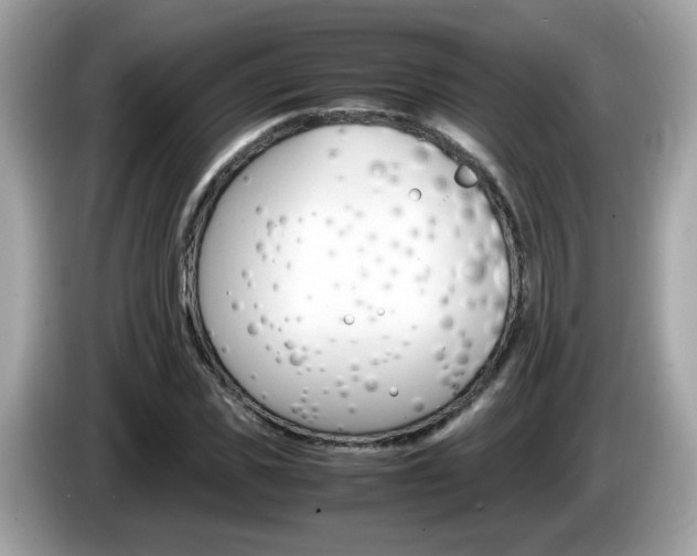 X0000086240925200703291002