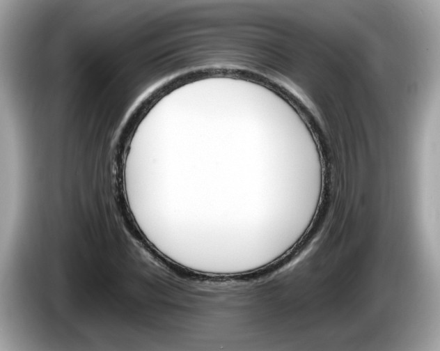 X0000086240926200703291002