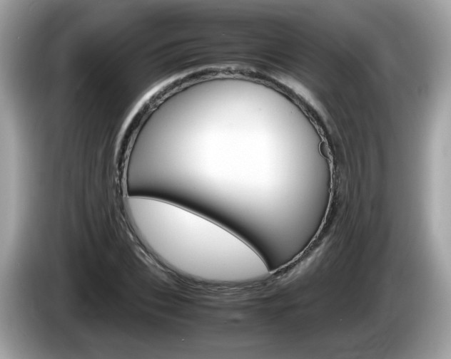 X0000086240927200703291002