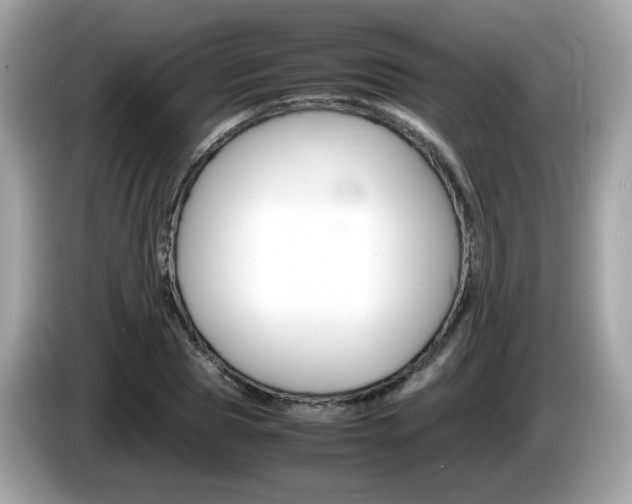 X0000086240929200703291002