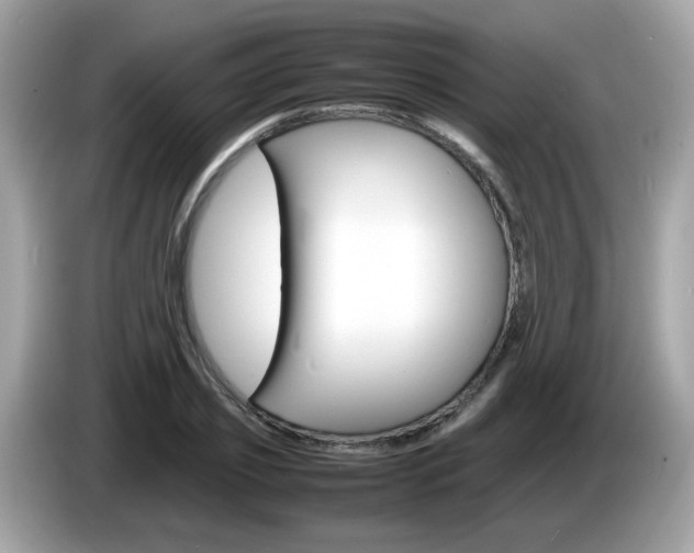 X0000086240933200703291002
