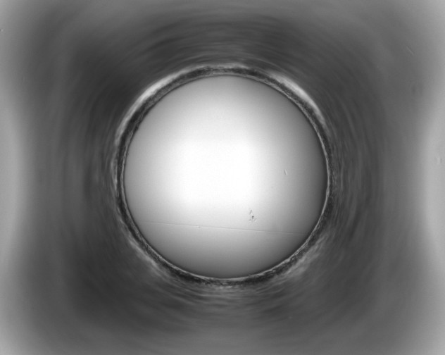 X0000086240935200703291002