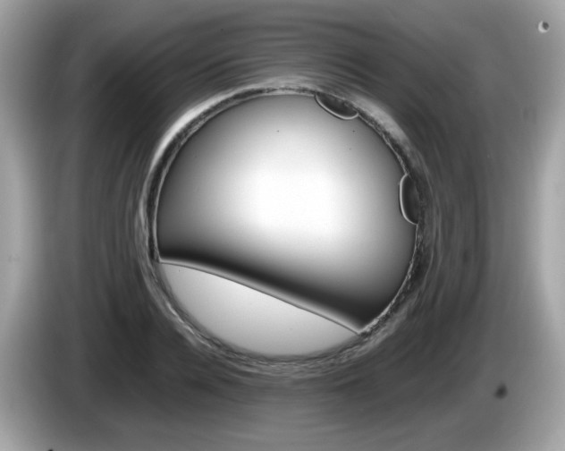 X0000086240936200703291002