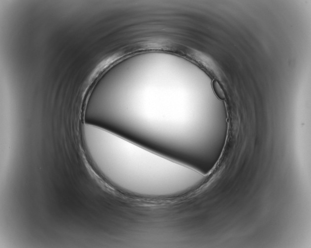 X0000086240938200703291002