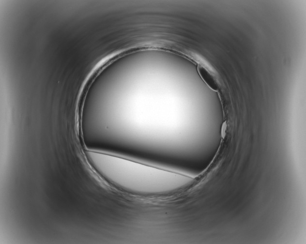 X0000086240940200703291002