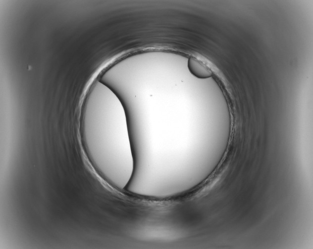 X0000086240941200703291002